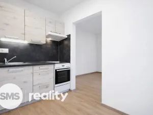 Pronájem bytu 2+kk, Opava - Předměstí, Rybářská, 30 m2