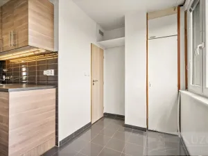 Pronájem bytu 2+1, Plzeň, Terezie Brzkové, 68 m2