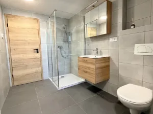 Pronájem bytu 2+kk, Brno, Mlaty, 60 m2