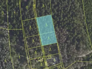 Prodej lesa, Psáry, 2377 m2