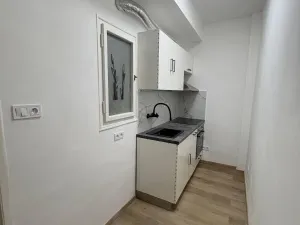 Prodej bytu 1+1, Praha - Nusle, 5. května, 40 m2