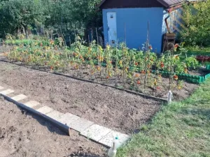 Prodej chaty, Kadaň, 25 m2