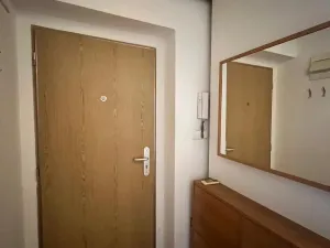 Pronájem bytu 1+kk, Praha - Libeň, Zenklova, 25 m2