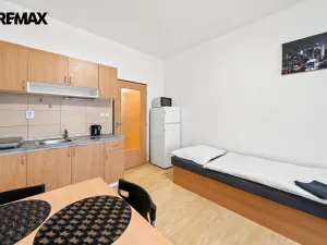 Pronájem bytu 1+kk, Pardubice - Svítkov, K Dubině, 26 m2