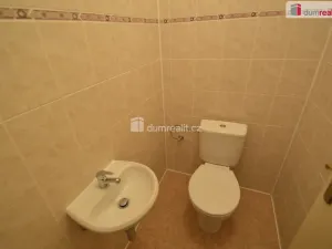 Pronájem rodinného domu, Jeneč, Úhonická, 166 m2