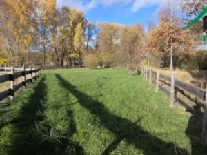 Prodej komerčního pozemku, Bor, 1427 m2