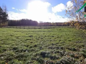 Prodej komerčního pozemku, Bor, 1427 m2