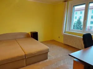 Pronájem bytu 2+kk, Plzeň, U Bachmače, 53 m2