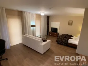 Pronájem bytu 1+kk, Plzeň - Jižní Předměstí, U Borského parku, 37 m2