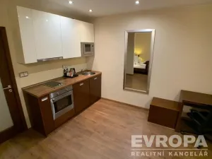 Pronájem bytu 1+kk, Plzeň - Jižní Předměstí, U Borského parku, 37 m2