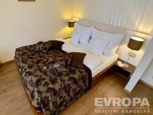 Pronájem bytu 1+kk, Plzeň - Jižní Předměstí, U Borského parku, 37 m2