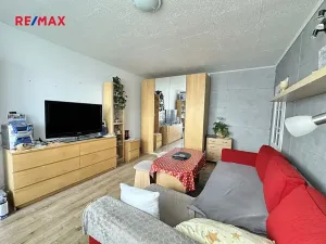 Prodej bytu 1+kk, Kladno, Na růžovém poli, 27 m2