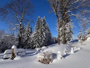 Prodej chaty, Kořenov - Polubný, 223 m2