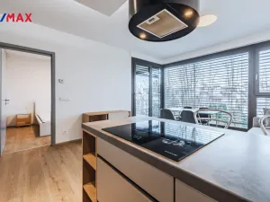 Pronájem bytu 2+kk, Praha - Libeň, U Vlachovky, 96 m2