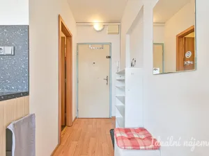 Pronájem bytu 1+1, Brno, Černého, 34 m2