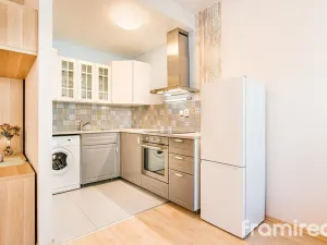 Pronájem bytu 1+kk, Brno, U Leskavy, 36 m2