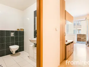 Pronájem bytu 1+kk, Brno, U Leskavy, 36 m2