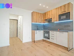 Prodej bytu 1+kk, Ostrava, Lumírova, 27 m2