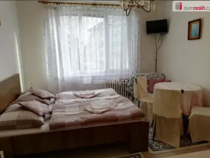 Pronájem bytu 1+kk, Mariánské Lázně - Úšovice, Kubelíkova, 24 m2