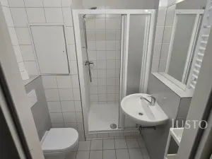 Pronájem bytu 1+1, Písek, 17. listopadu, 35 m2