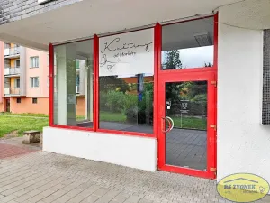 Pronájem obchodního prostoru, Olomouc, Nedvědova, 56 m2