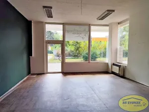 Pronájem obchodního prostoru, Olomouc, Nedvědova, 56 m2