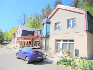 Pronájem bytu 1+1, Dalovice, Pod Parkem, 40 m2