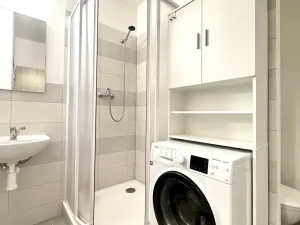 Pronájem bytu 1+1, Staré Sedliště, 42 m2