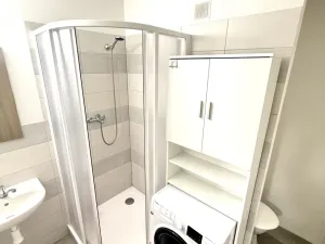 Pronájem bytu 1+1, Staré Sedliště, 42 m2