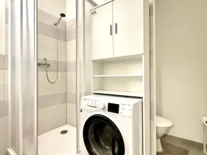 Pronájem bytu 1+1, Staré Sedliště, 42 m2