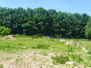 Prodej pozemku pro bydlení, Příbor, 9. května, 4115 m2