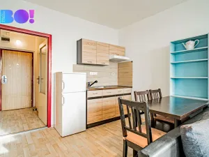 Prodej bytu 1+kk, Ostrava, Gen. Píky, 29 m2