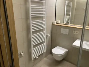 Pronájem bytu 2+kk, Plzeň, Pallova, 52 m2