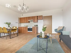 Prodej bytu 1+kk, Kolín, A. M. Jelínka, 41 m2