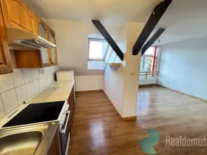 Pronájem bytu 2+kk, České Budějovice, Jírovcova, 68 m2