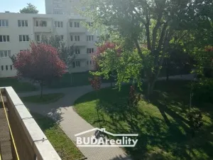 Prodej bytu 3+1, Zlín - Malenovice, Husova, 65 m2