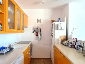 Pronájem bytu 3+kk, Praha - Podolí, Pod Pekařkou, 71 m2