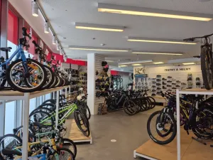 Pronájem komerční nemovitosti, Praha - Holešovice, Jankovcova, 291 m2