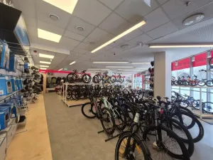 Pronájem komerční nemovitosti, Praha - Holešovice, Jankovcova, 291 m2