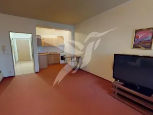 Pronájem bytu 1+kk, Plzeň, Mutěnická, 68 m2