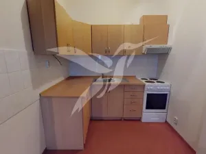 Pronájem bytu 1+kk, Plzeň, Mutěnická, 68 m2