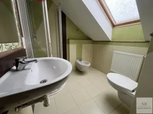 Prodej vily, Nová Role - Mezirolí, 350 m2