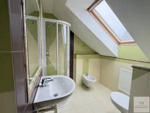 Prodej vily, Nová Role - Mezirolí, 350 m2