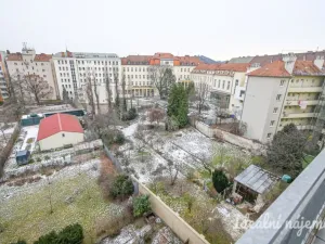 Pronájem bytu 3+kk, Brno, Křídlovická, 62 m2