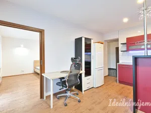 Pronájem bytu 3+kk, Brno, Křídlovická, 65 m2