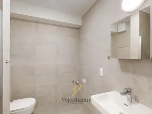 Pronájem bytu 1+kk, Olomouc, Bryksova, 38 m2