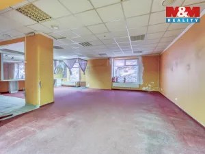 Pronájem obchodního prostoru, Plzeň - Východní Předměstí, Slovanská, 100 m2