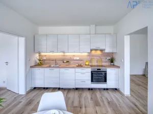 Pronájem bytu 3+1, Most, Hutnická, 72 m2