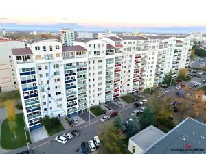 Prodej bytu 1+kk, Praha - Letňany, Místecká, 25 m2