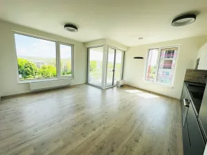 Pronájem bytu 2+kk, Ostrava - Moravská Ostrava, F. X. Riepla, 60 m2